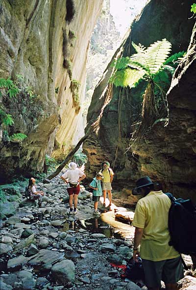 carnarvon-gorge